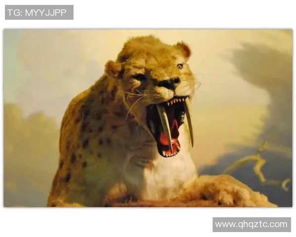 足球明星巨兽盘点那些在赛场上如同猛兽般的传奇球员